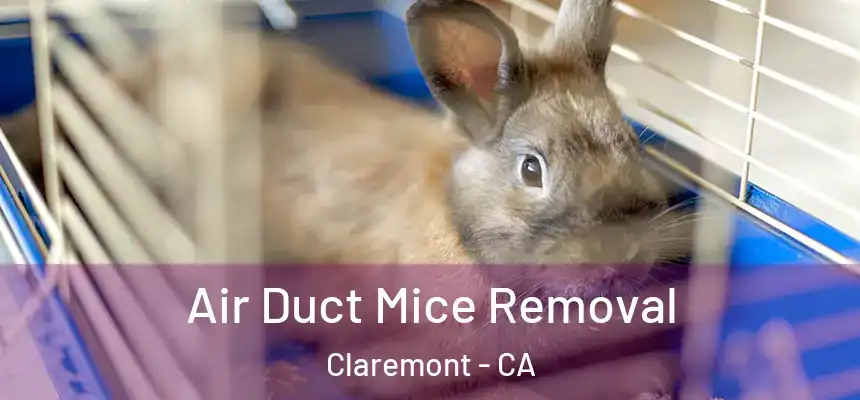 Air Duct Mice Removal Claremont - CA