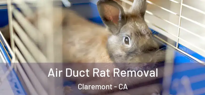  Air Duct Rat Removal Claremont - CA