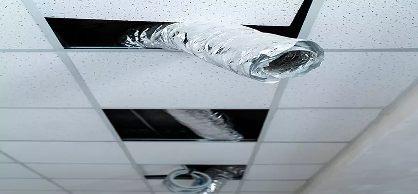 Affordable HVAC Sanitizing After Pest Removal in Claremont