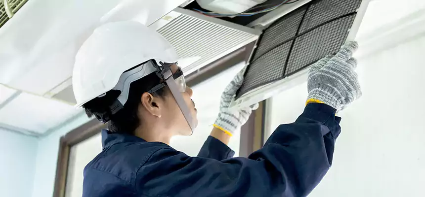 Our Mold & Mildew Removal from Air Ducts Services in Claremont, CA