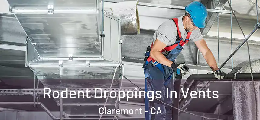  Rodent Droppings In Vents Claremont - CA